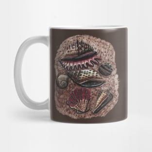 Exotic Seashells Mug